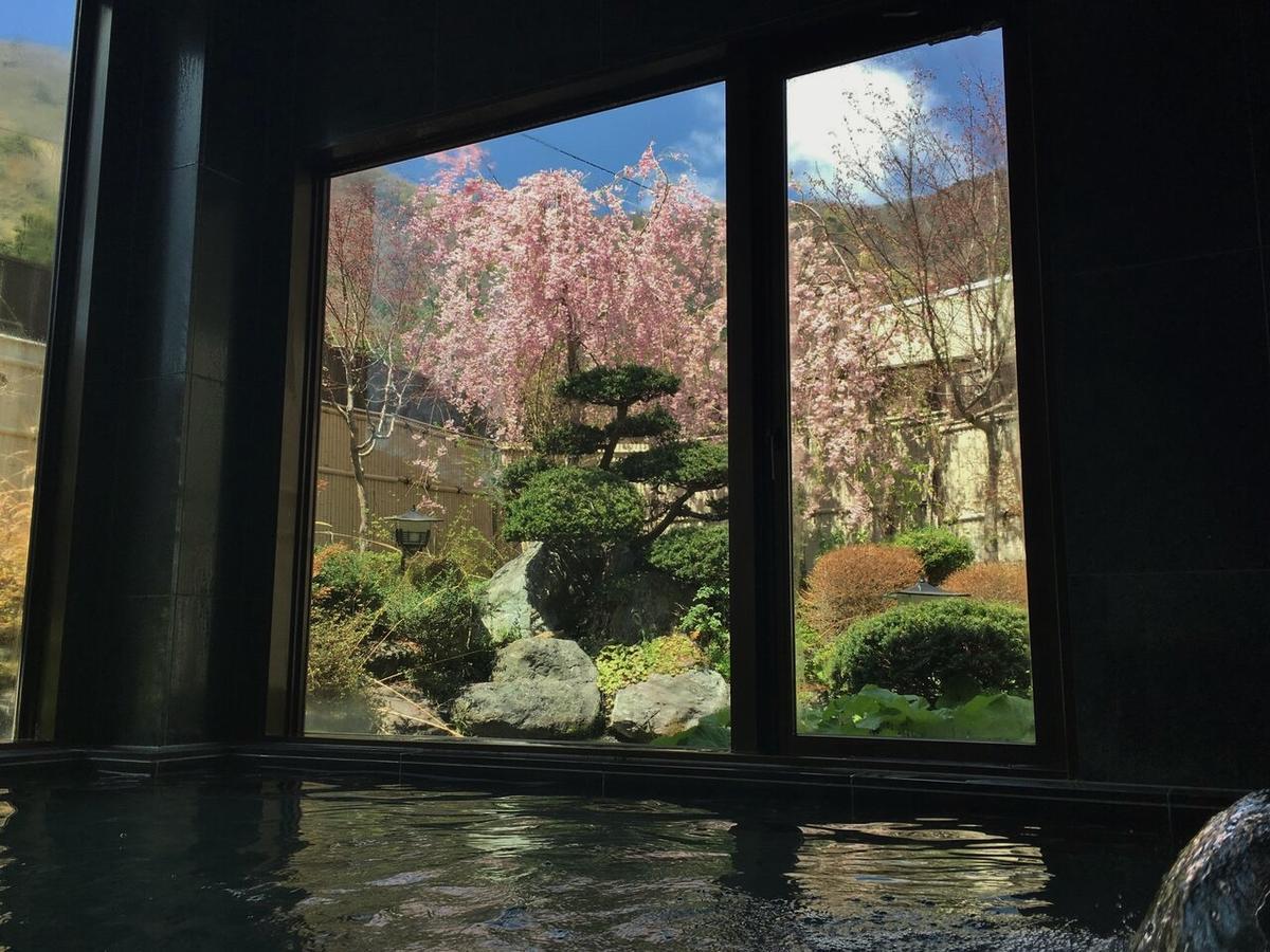 Shoji Mount Hotel Fudzsikavagucsiko Kültér fotó